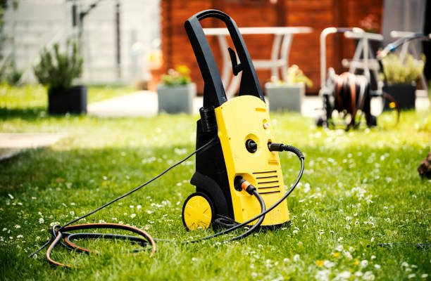 Animal Enclosure Cleaning in Mcnary, AZ